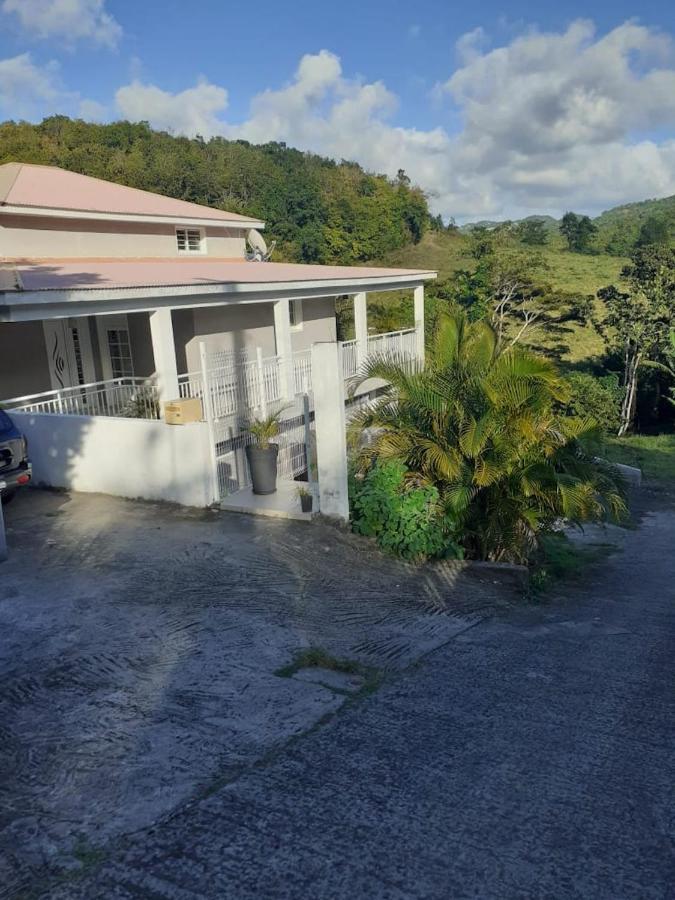Chez Coco Appartement Balisier Rivière-Salée Kültér fotó